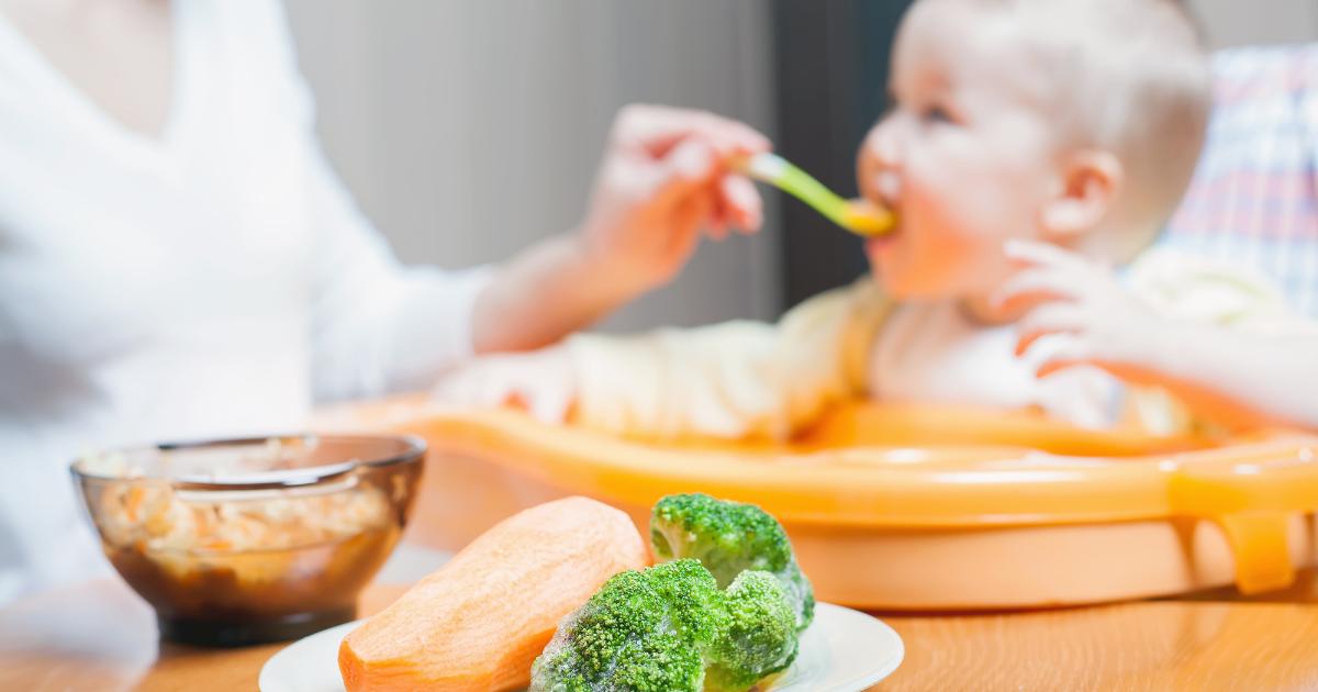 Introdução Alimentar para Bebês de 6 Meses: Guia Completo Sobre Alimentação e Jeito Certo de Alimentar a Criança