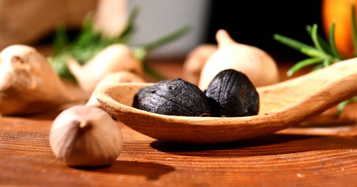 O alho negro é fermentado, rico em antioxidantes, melhora o sistema imunológico, reduz colesterol, protege...