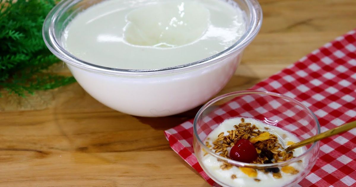 Iogurte natural fácil, com leite integral e iogurte. Econômico, rende muito e é delicioso!...