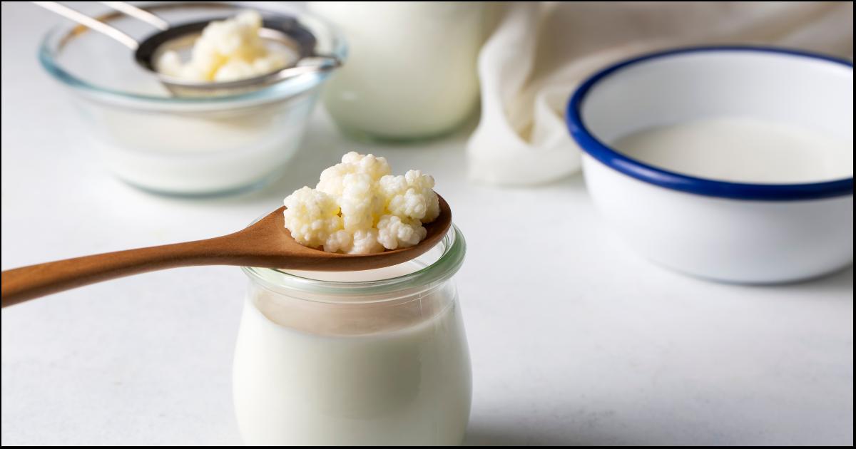 Aprenda a preparar kefir caseiro corretamente e aproveite seus incríveis benefícios à saúde!...