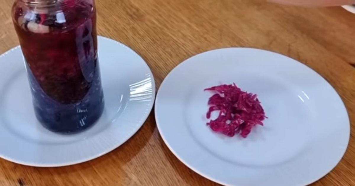 Aprenda a preparar um probiótico low carb, sem açúcar, fácil e barato!...