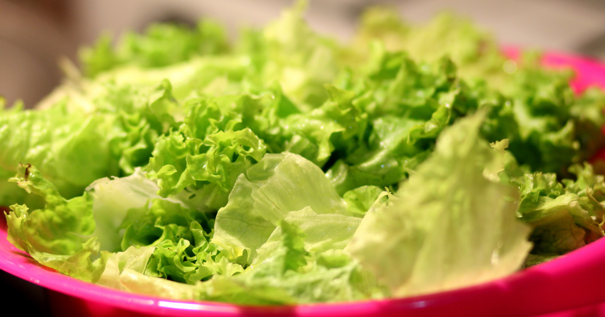Como Conservar Alface e Outras Verduras na Geladeira: Dicas Simples que Poucos Conhecem!