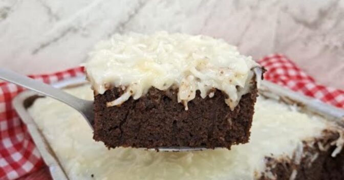Bolos: Você Vai Se Surpreender com Este Bolo de Chocolate com Coco Sem Glúten e Sem Lactose