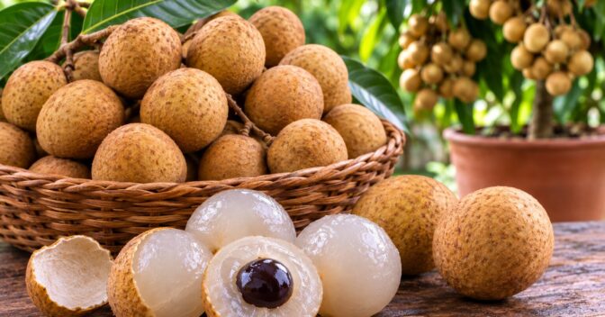 Notícias: 5. A fruta que parece uma “bolinha de olho” e quase ninguém cultiva: ela cresce rápido em vasos e surpreende pelo sabor delicado