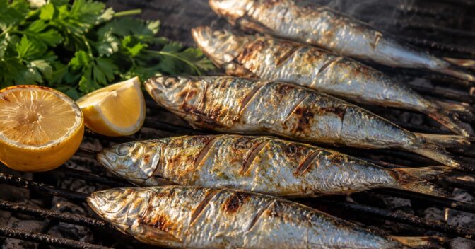 Notícias: “A pele e a espinha mantêm o peixe úmido”: por que levar sardinha e outros peixes pequenos inteiros à grelha protege a carne
